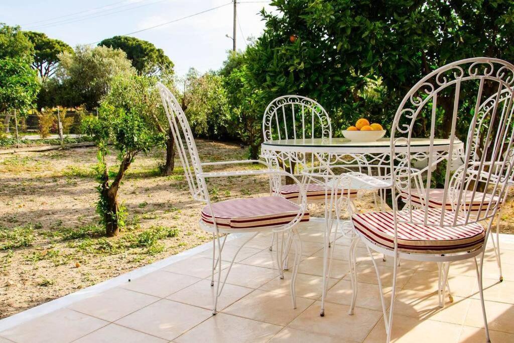 The Tower With The Orange Tree Garden Villa Ialysos  Ngoại thất bức ảnh
